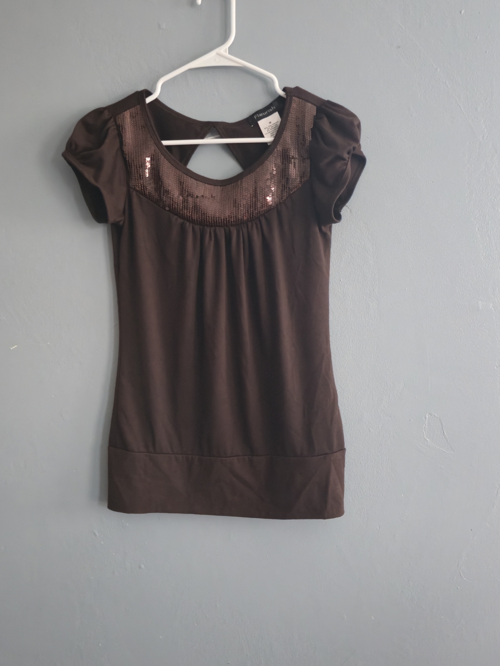 Fleurish Brown Sequin Scoop Yoke Short Sleeve Top